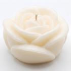 Blanche / Noix de coco