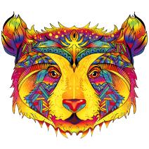 Puzzle en bois - Color Bear / M